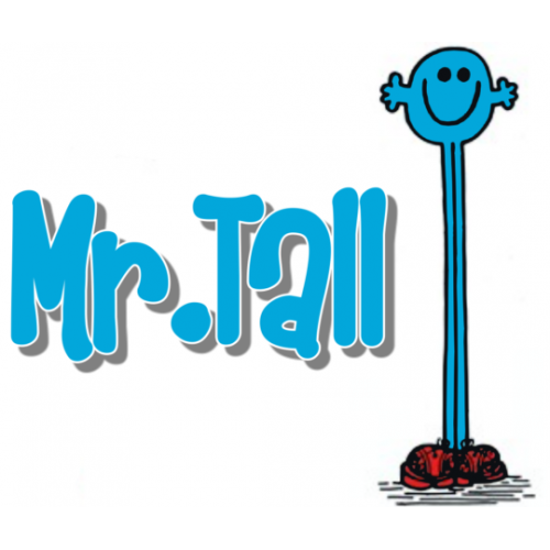  Mr Men and Little Miss Mr. Tall  T Shirt Iron on Transfer Decal #20 by www.shopironons.com